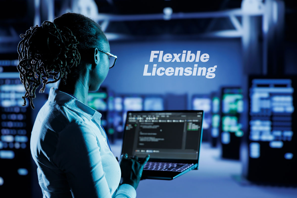 Tired of Per-Seat Pricing? How Buffalo Computer Graphics' Flexible Licensing Saves You Money